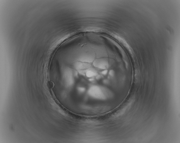 X0000114100529200910191644