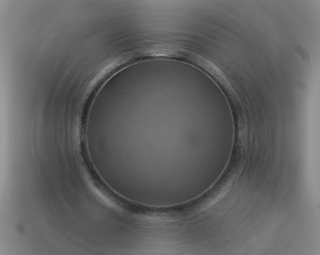 X0000114100530200910191644