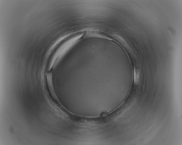 X0000114100531200910191644