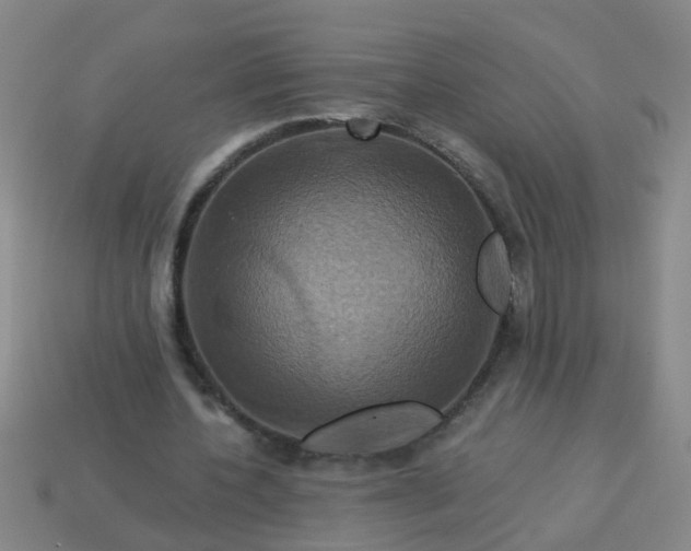 X0000114100532200910191644