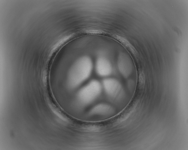 X0000114100533200910191644