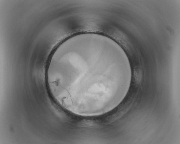 X0000114100534200910191644