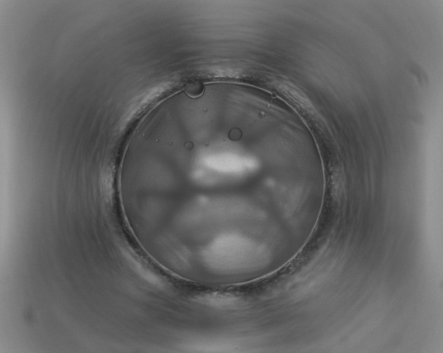 X0000114100537200910191644