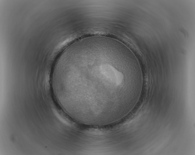 X0000114100538200910191644