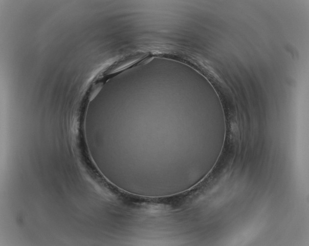 X0000114100539200910191644