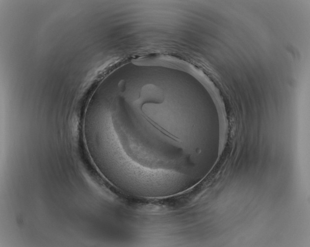 X0000114100542200910191644