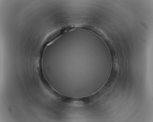 X0000114100543200910191644