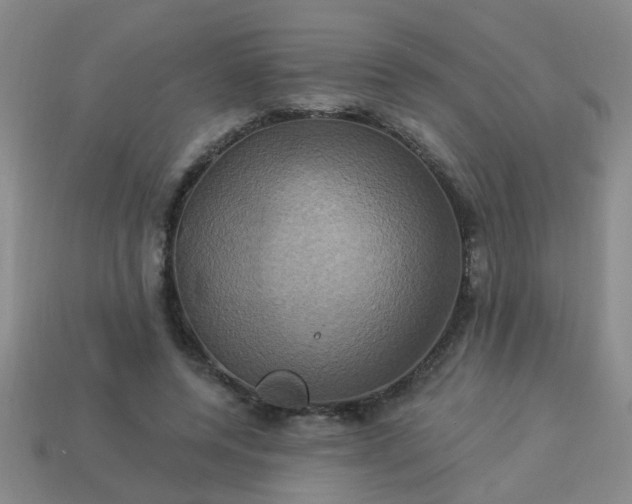 X0000114100544200910191644