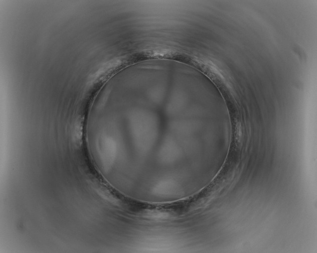 X0000114100545200910191644