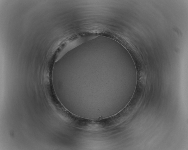 X0000114100547200910191644