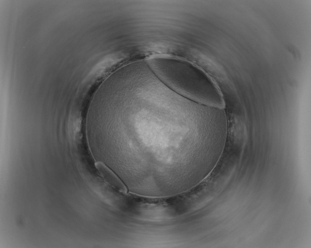 X0000114100548200910191644