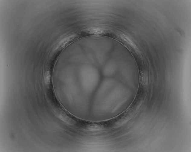 X0000114100549200910191644