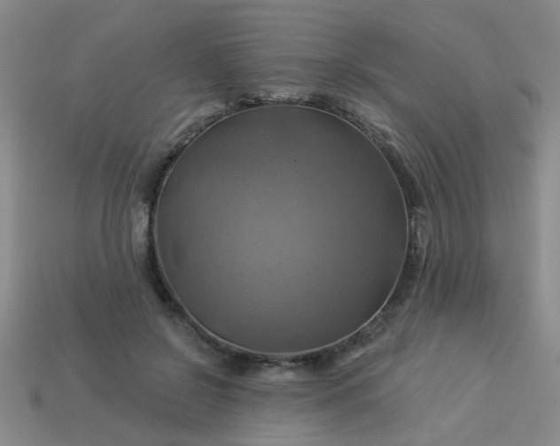 X0000114100550200910191644