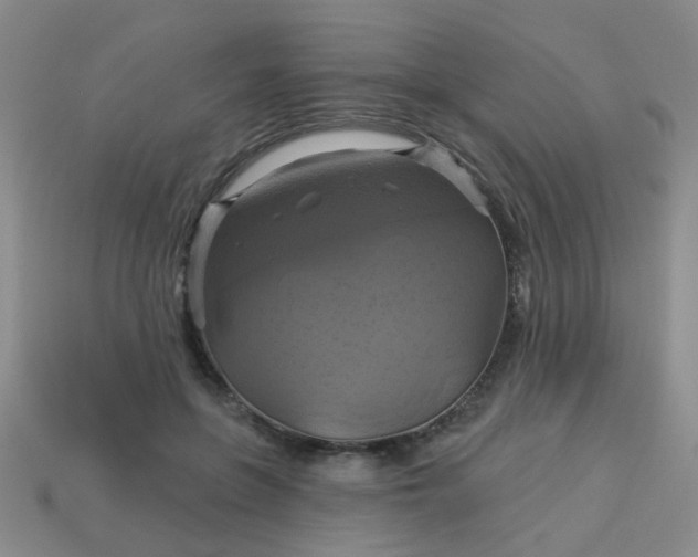 X0000114100551200910191644