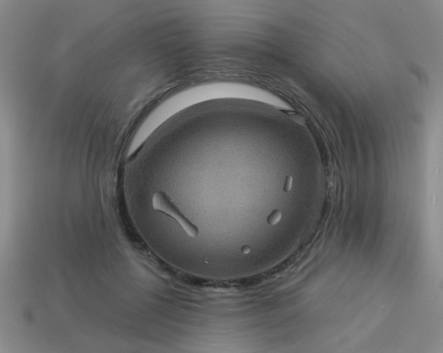 X0000114100552200910191644