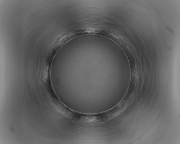 X0000114100554200910191644