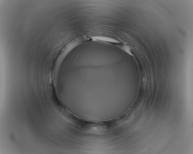 X0000114100555200910191644