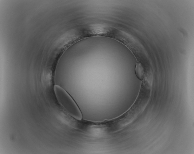 X0000114100556200910191644