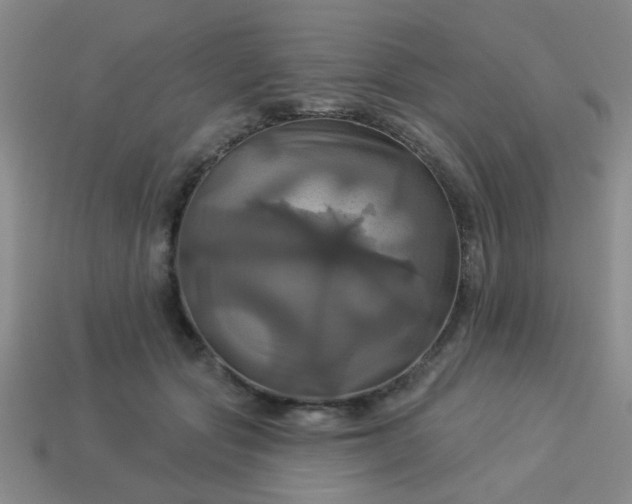 X0000114100557200910191644