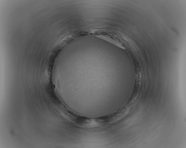 X0000114100558200910191644