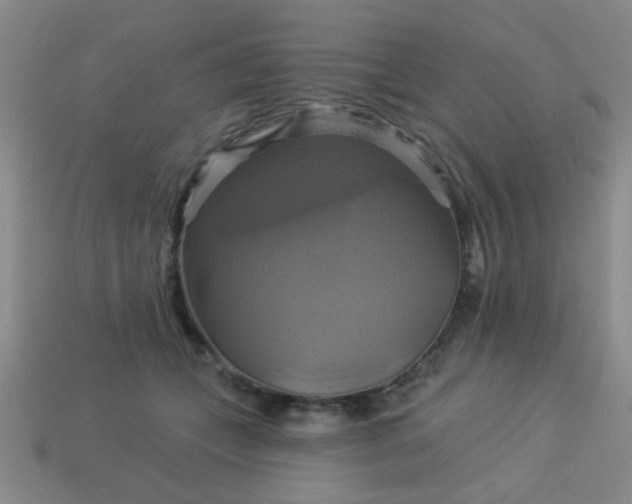 X0000114100559200910191644