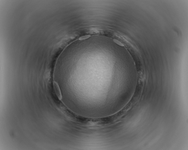 X0000114100560200910191644