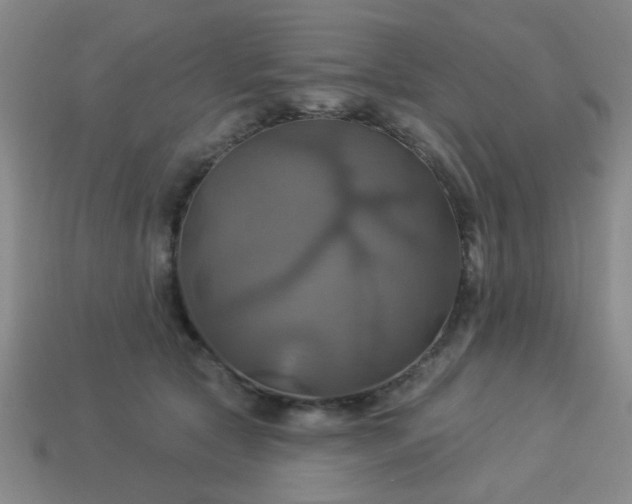 X0000114100561200910191644