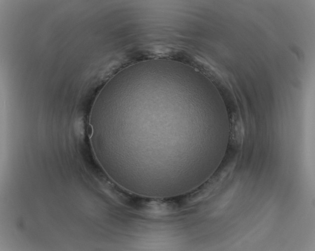 X0000114100562200910191644