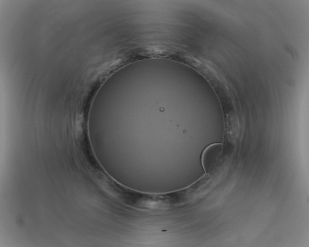 X0000114100563200910191644