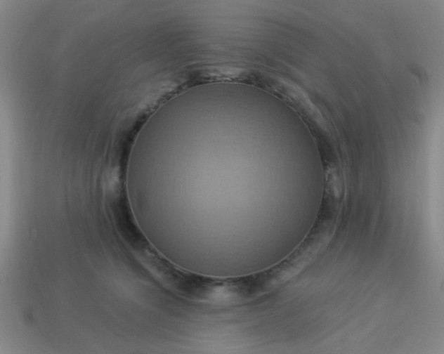 X0000114100564200910191644