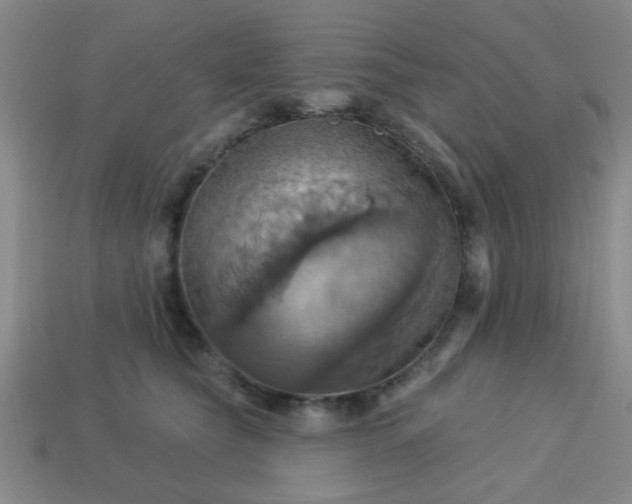 X0000114100565200910191644