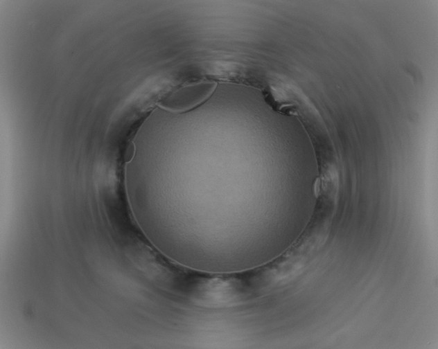 X0000114100566200910191644