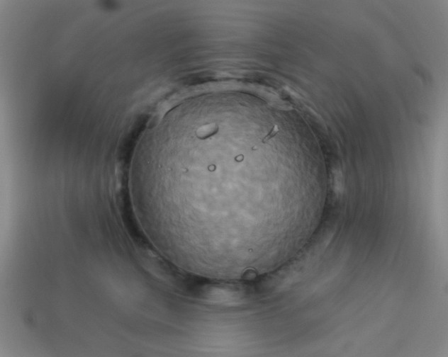 X0000114100567200910191644