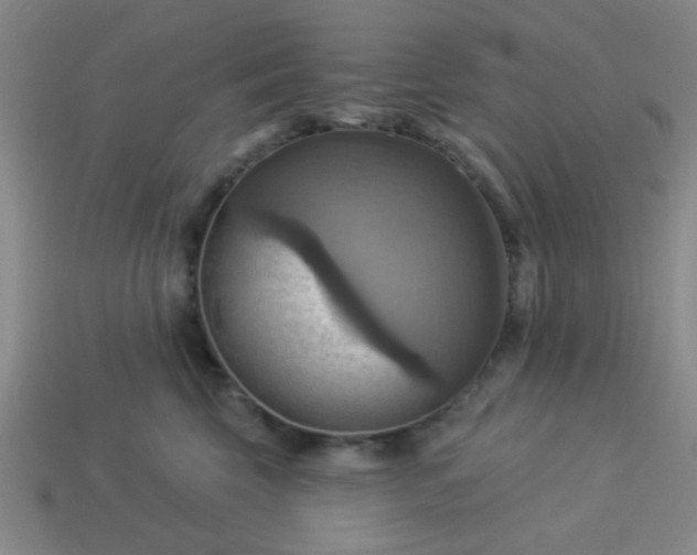 X0000114100569200910191644