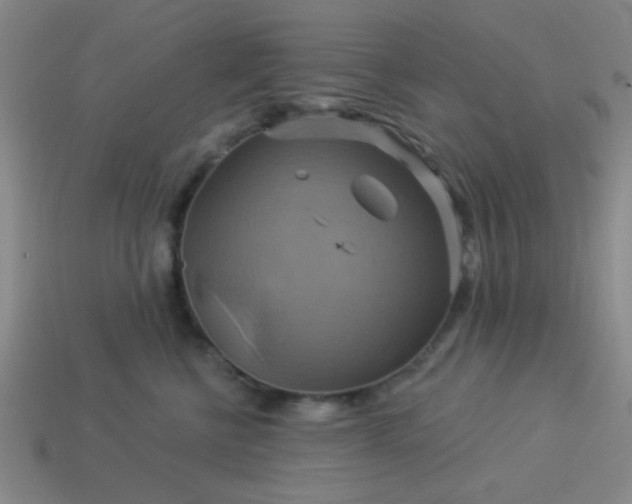 X0000114100570200910191644