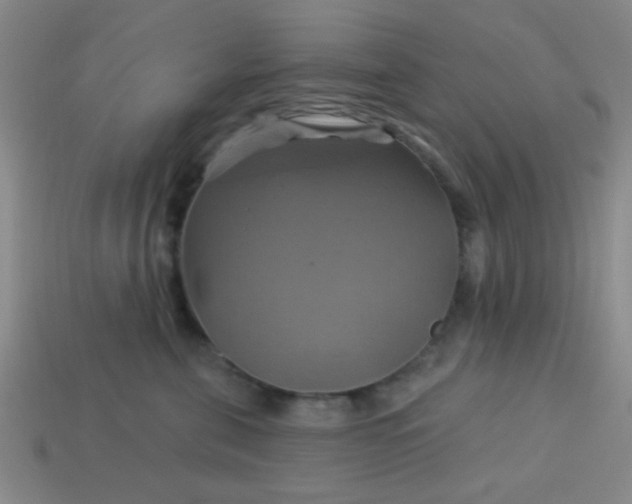 X0000114100571200910191644