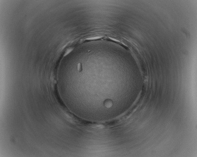 X0000114100572200910191644