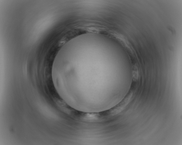 X0000114100573200910191644