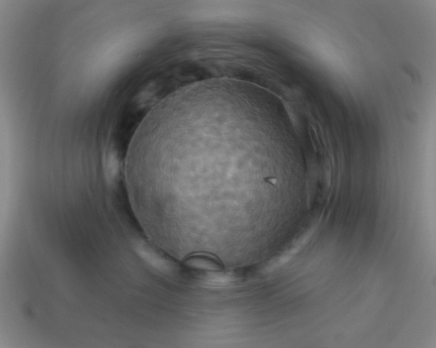 X0000114100574200910191644