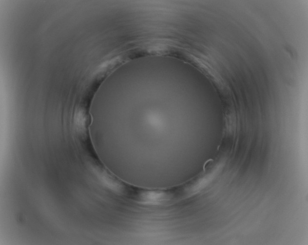 X0000114100575200910191644