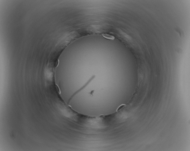 X0000114100576200910191644