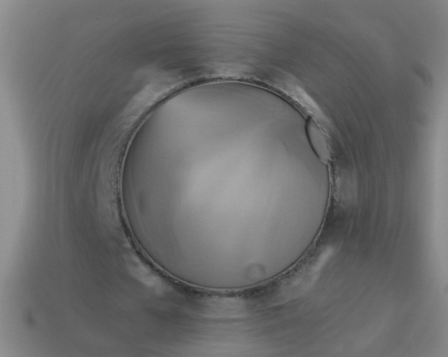 X0000114100577200910191644