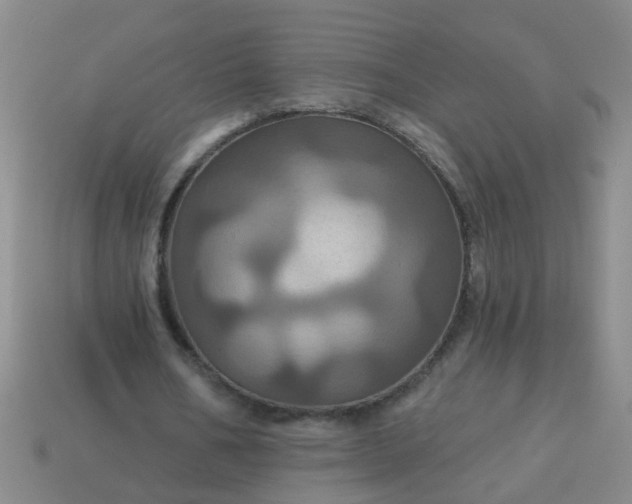 X0000114100578200910191644