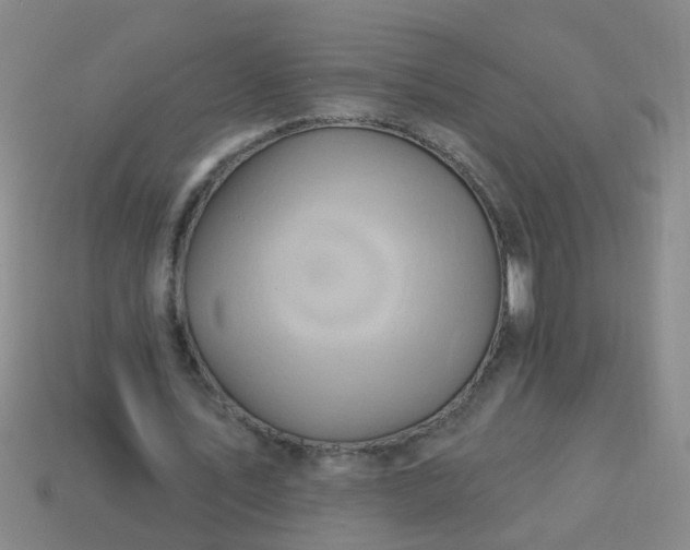 X0000114100579200910191644