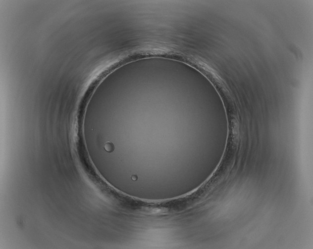 X0000114100582200910191644