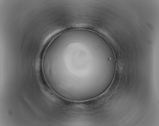 X0000114100583200910191644