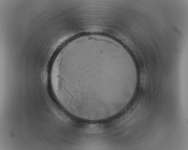 X0000114100584200910191644