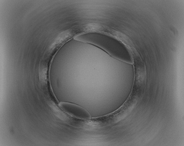 X0000114100585200910191644