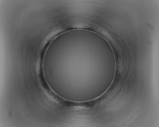 X0000114100586200910191644