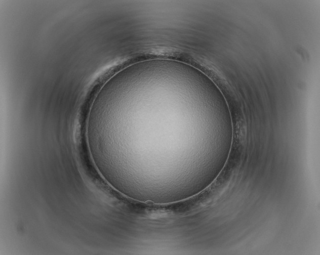 X0000114100587200910191644